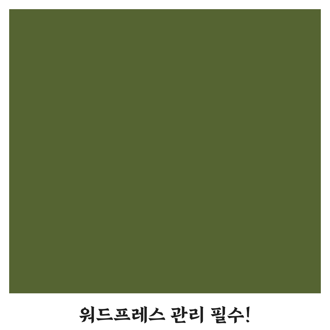 워드프레스 관리 쉽게 하는 방법: 초보를 위한 5가지 체크포인트