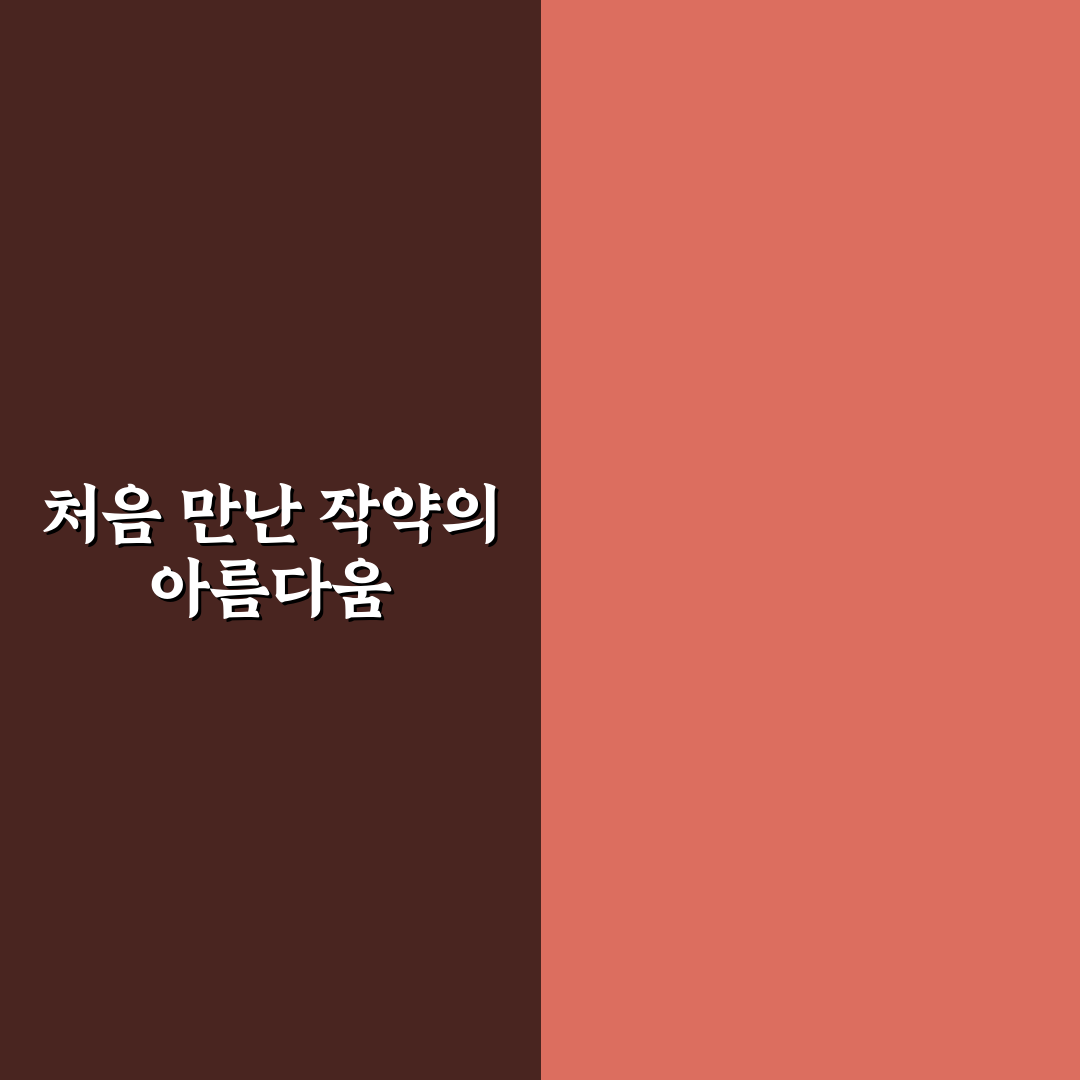 작약꽃 꽃말 직접 알아보니 뜻이 더 와닿았어요