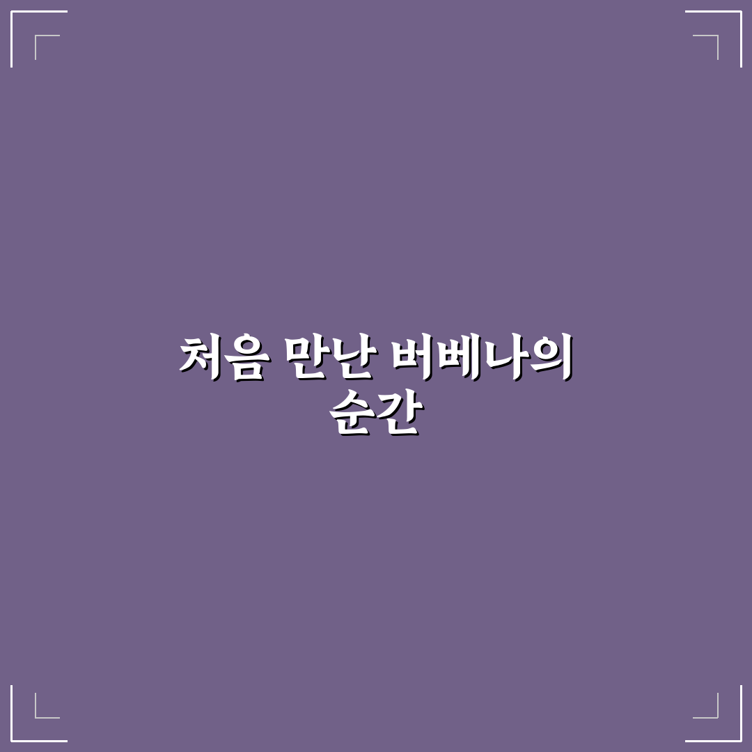 버베나 꽃 키우는법, 직접 키워보니 어려운 점과 팁