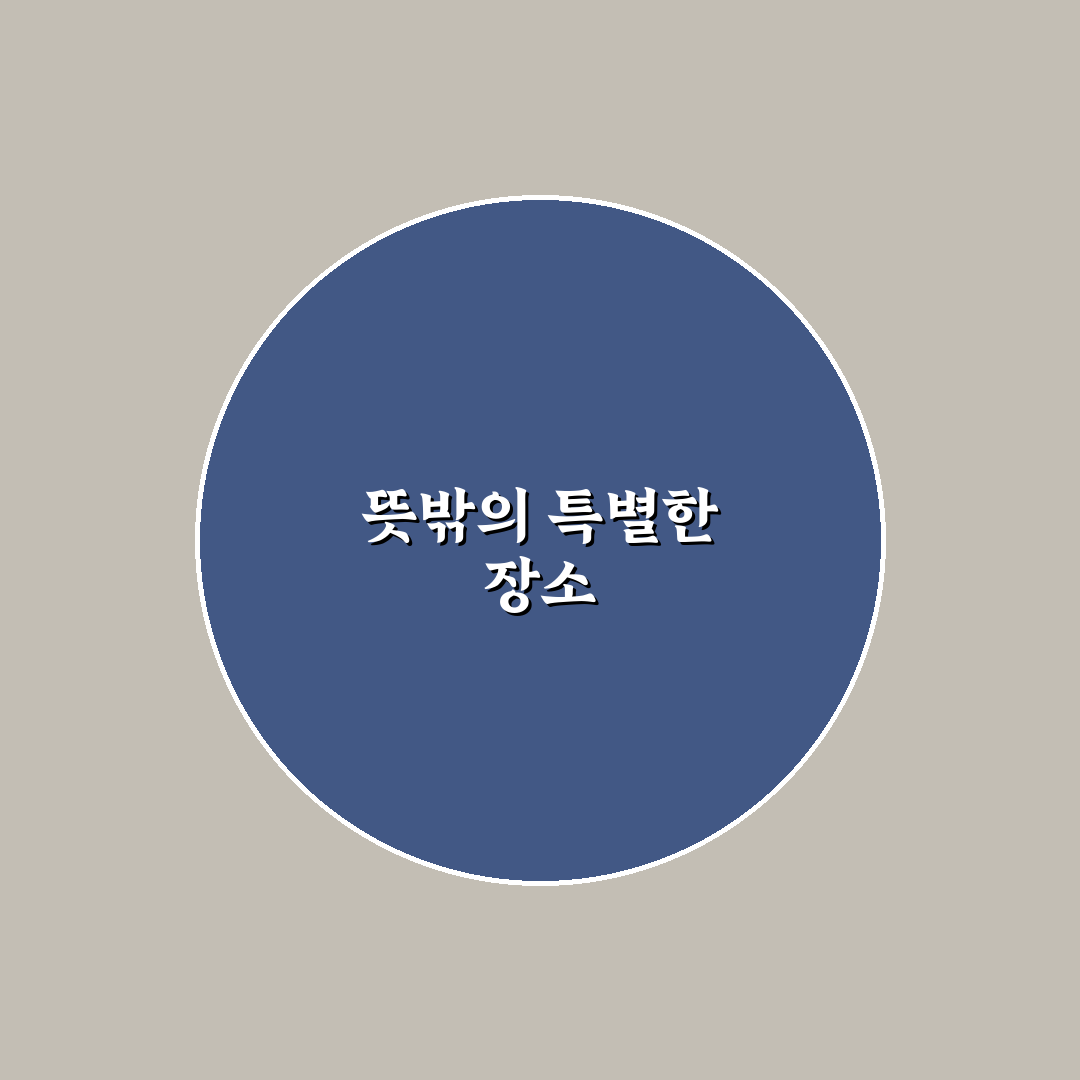 화순 라일락 카페 방문 후기, 조용한 분위기 직접 느껴보니