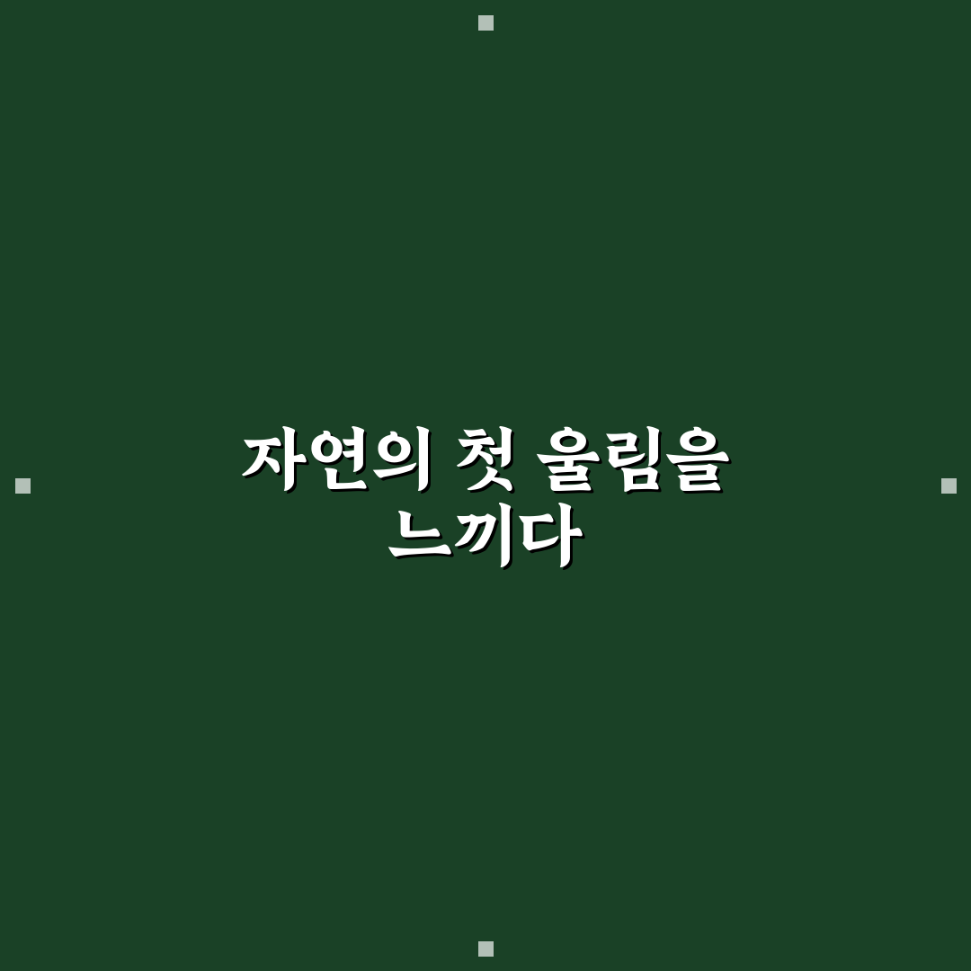뻐꾸기 소리 듣기 체험기, 직접 가보니 분위기 어땠는지
