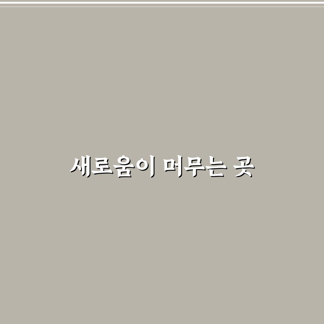 야탑 교촌치킨 방문 후기, 솔직한 먹어본 경험담