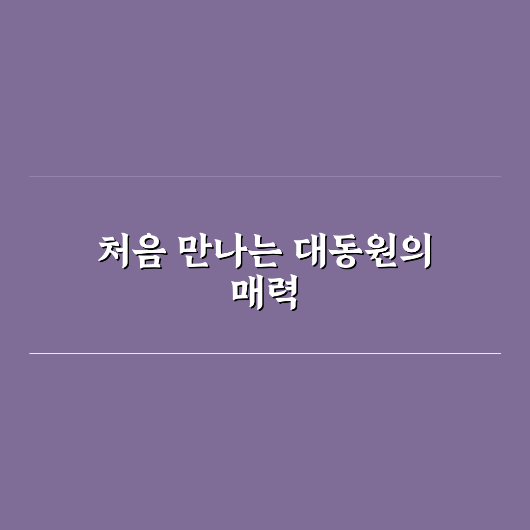 후쿠오카 대동원 방문 후기, 현지에서 직접 가보니 느낌은