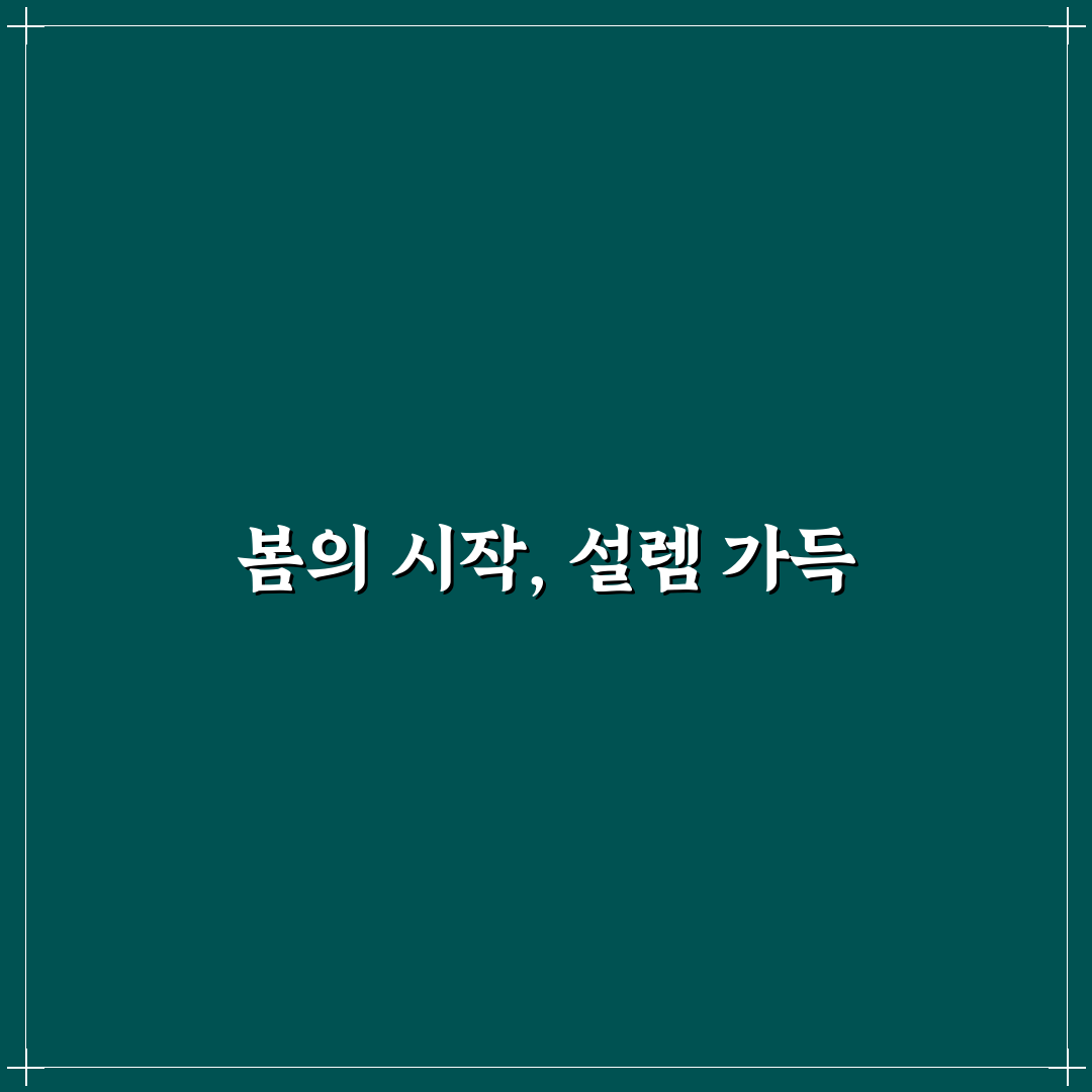 태안 튤립축제 가는길 방문 후기, 교통과 주변 환경은?