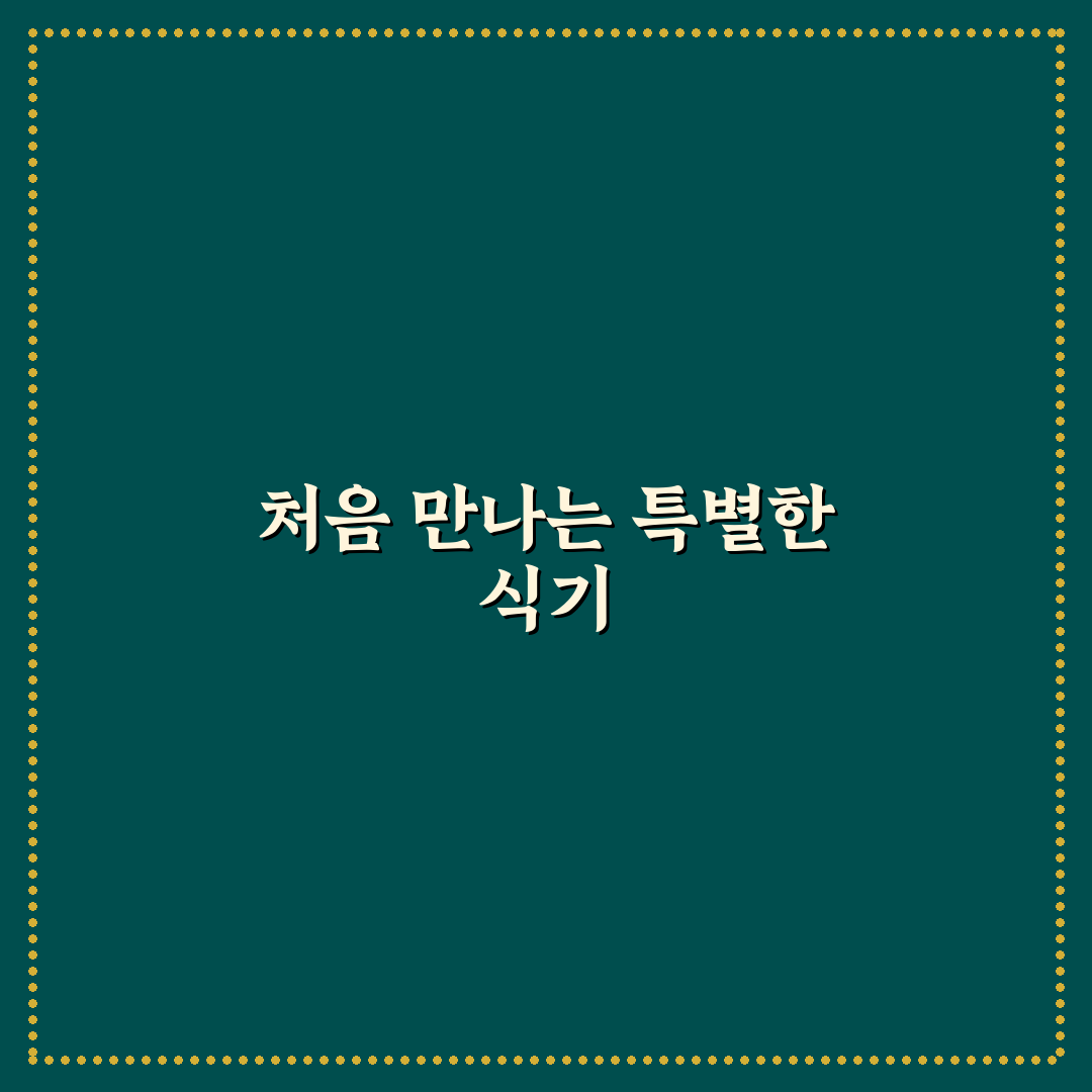 코렐 더블링 면기 사용 후기, 직접 써보니 느낀 점
