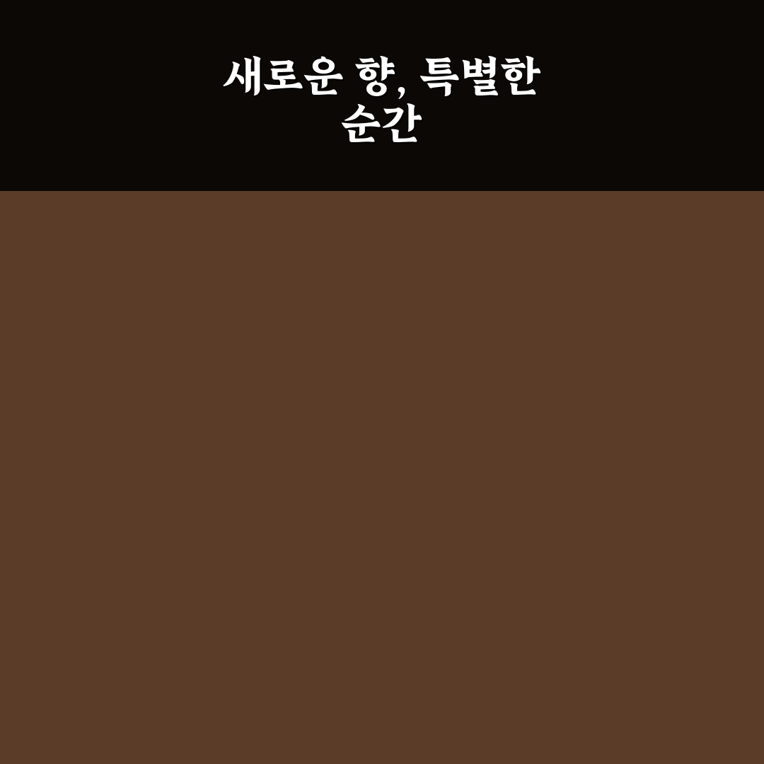 볼음도 백합 방문 후기, 직접 가보니 풍경과 맛은 어땠는지