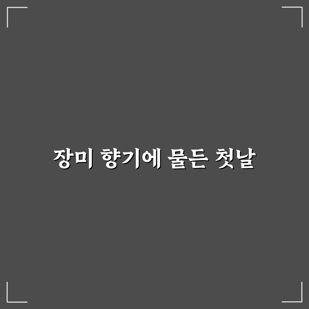삼척 장미축제 공연 방문 후기, 현장 분위기는 어땠나