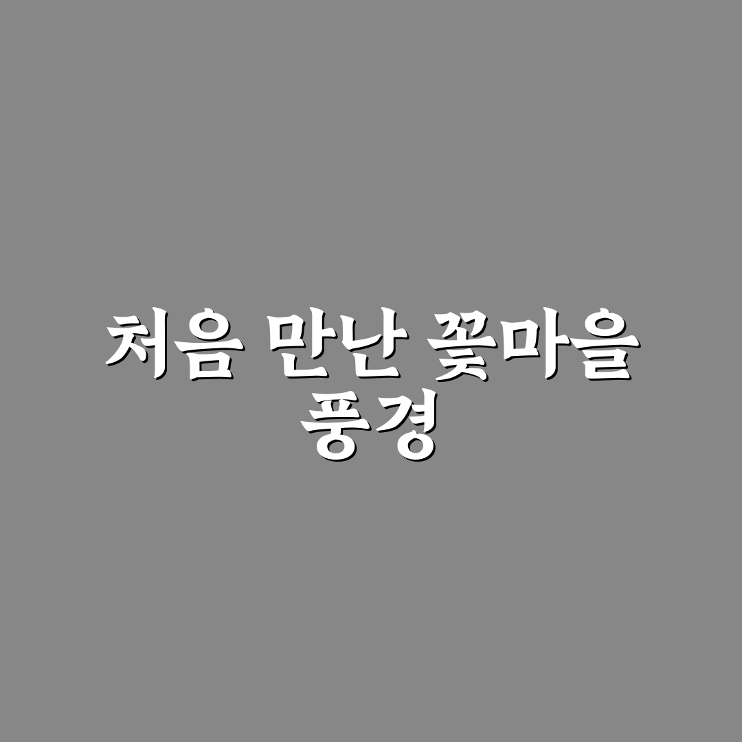 김천 금낭화타운 방문 후기, 직접 가보니 느낀 점