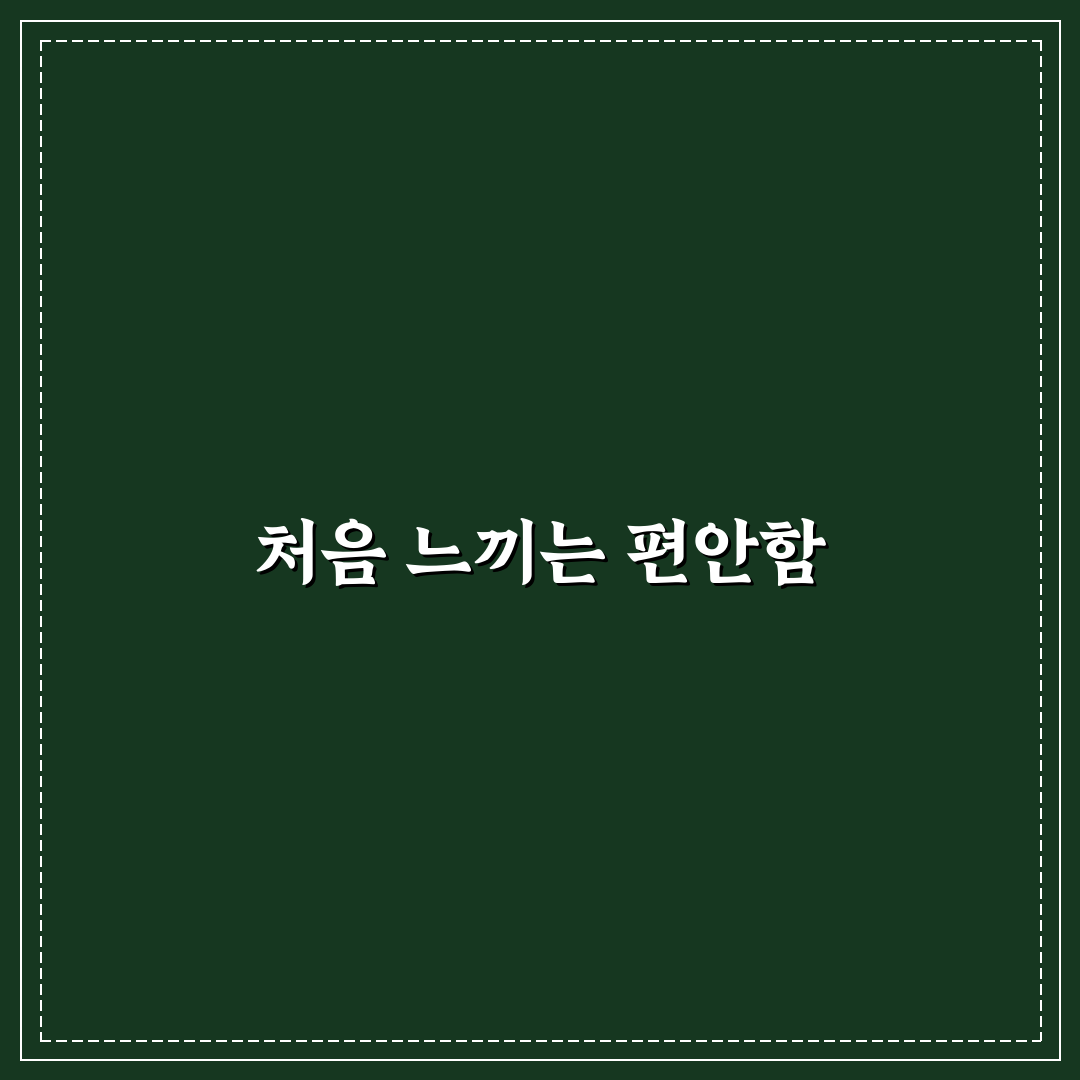애니체 의자 사용 후기, 직접 써보니 편안한 점과 아쉬운 점
