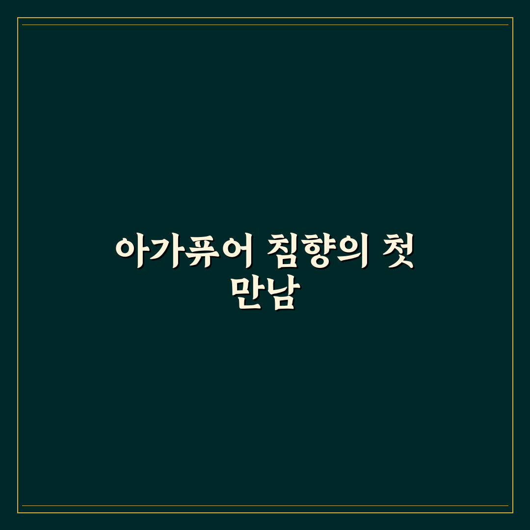 아가퓨어 침향 가격, 직접 알아보니 부담 없는 수준이었어요