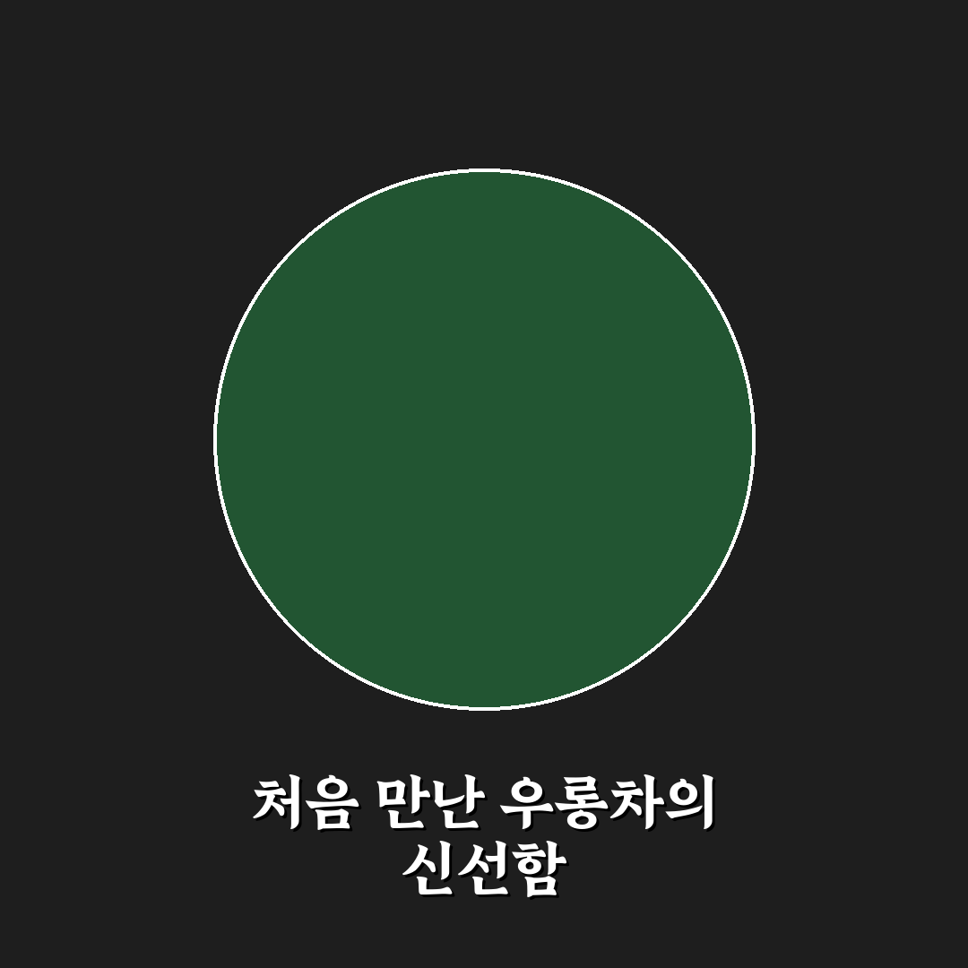 우롱차 카페인 직접 알아보니 의외로 달랐던 점