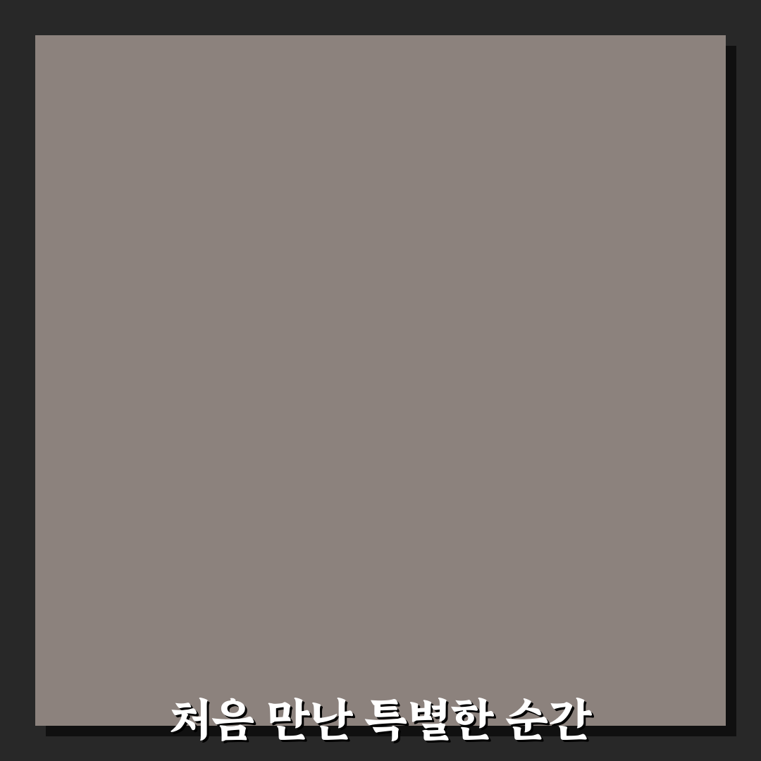 양재역 팀홀튼 방문 후기, 분위기와 메뉴 솔직 리뷰