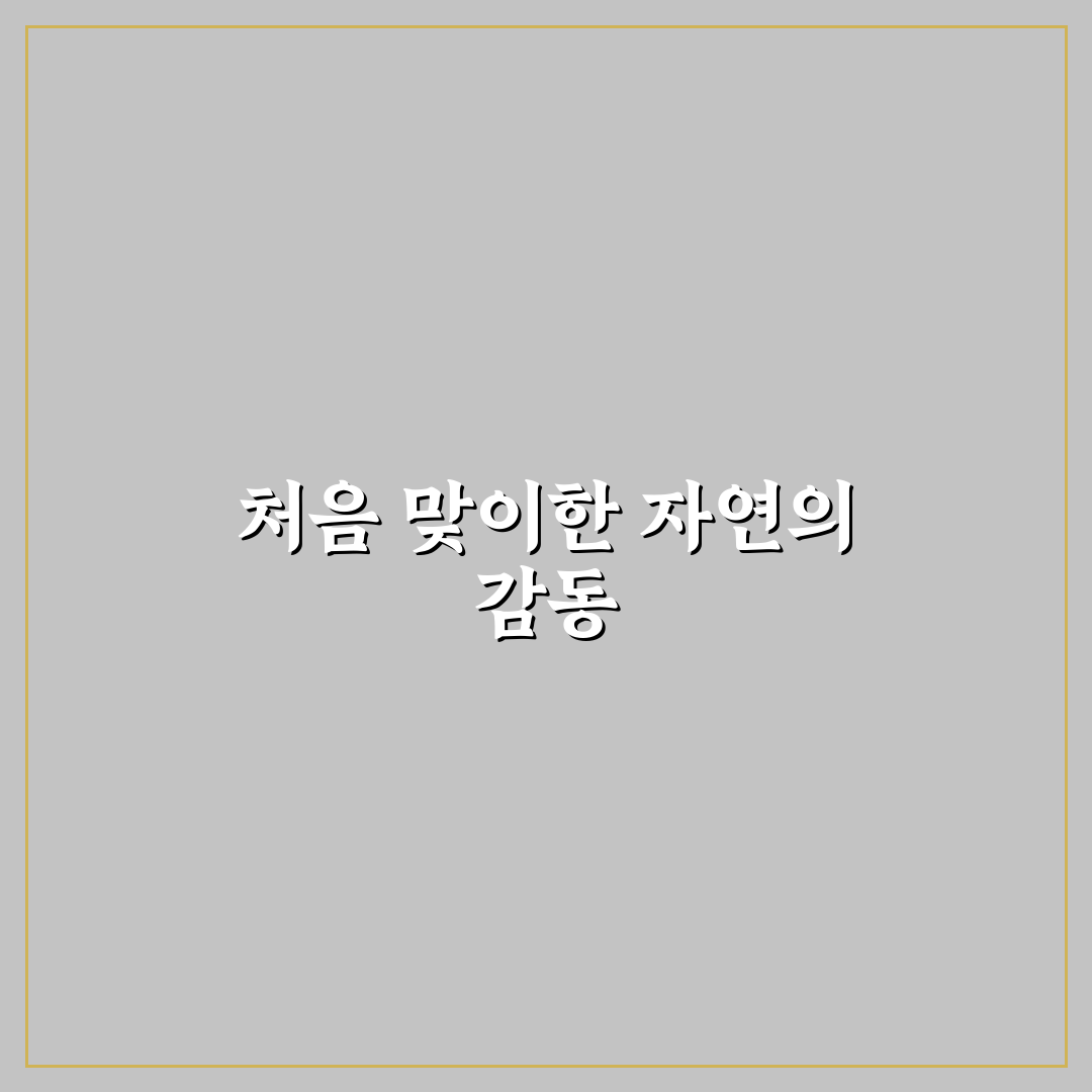 서천 맥문동 축제 방문 후기, 직접 가보니 풍경과 분위기