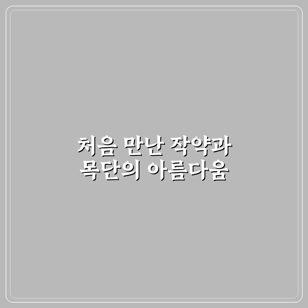 작약 목단 차이, 직접 알아보니 느낀 점들