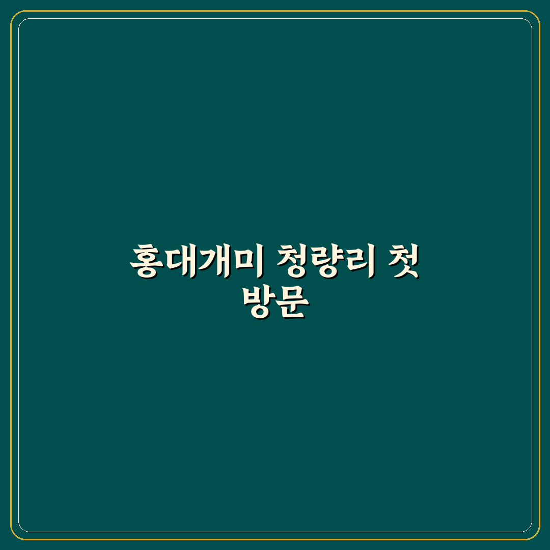 홍대개미 청량리 방문 후기, 분위기와 맛 솔직히 말해보니