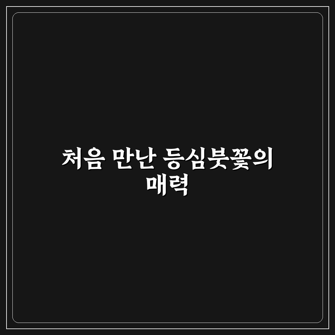 등심붓꽃 직접 가보니 꽃의 매력과 아쉬움