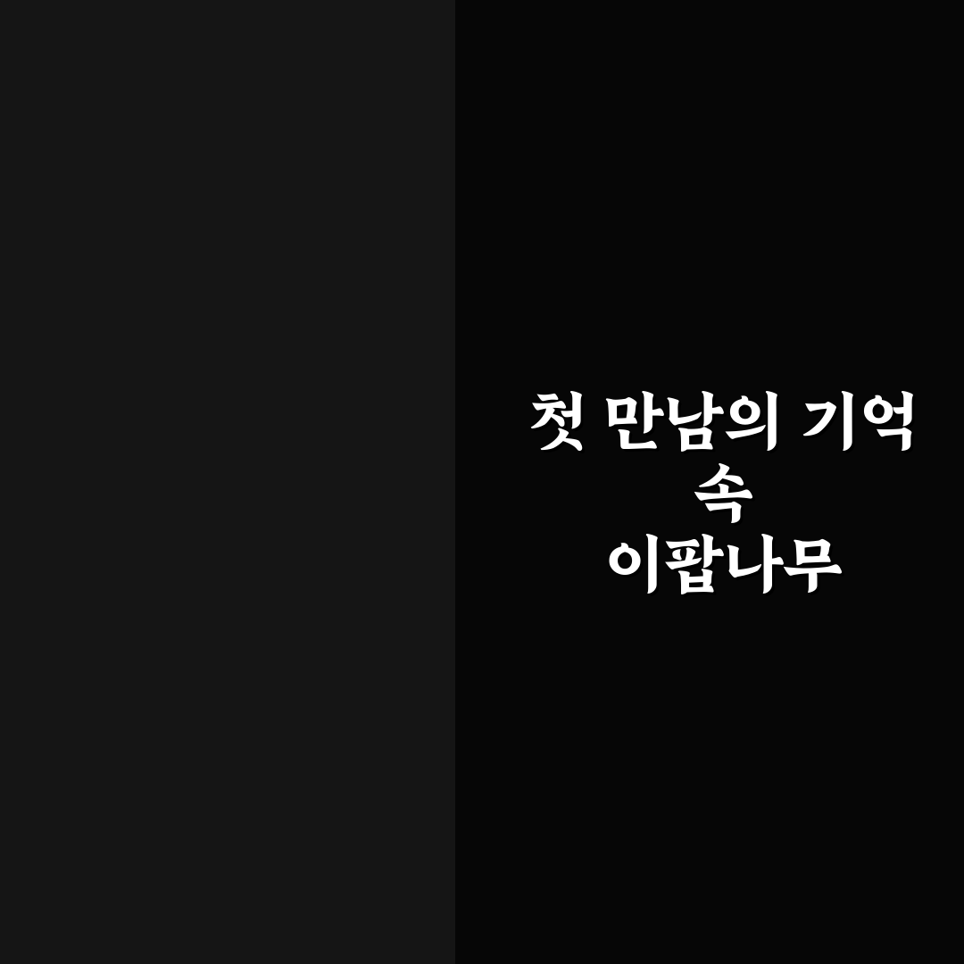 이팝나무 어원 직접 알아보니 뜻과 유래가 궁금해졌다