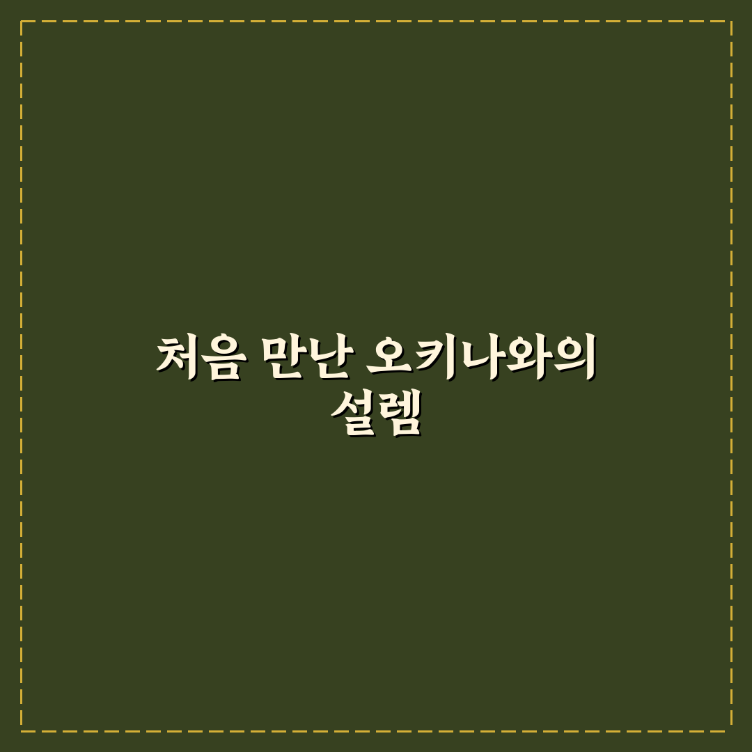 오키나와 놀거리 방문 후기, 가족과 함께 체험해보니