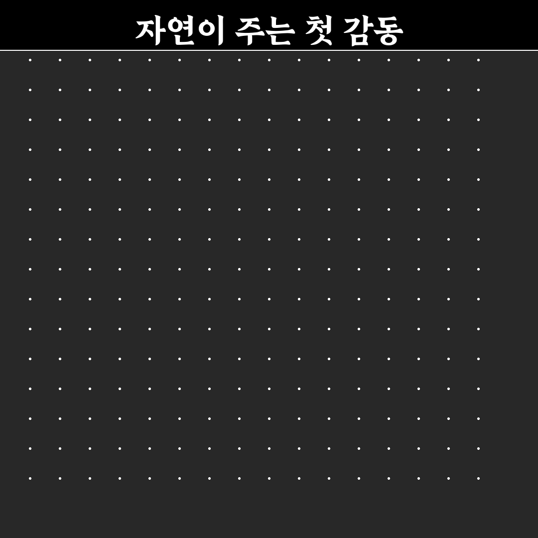 돈나물 효능 직접 알아보니 먹는 방법도 달랐어요