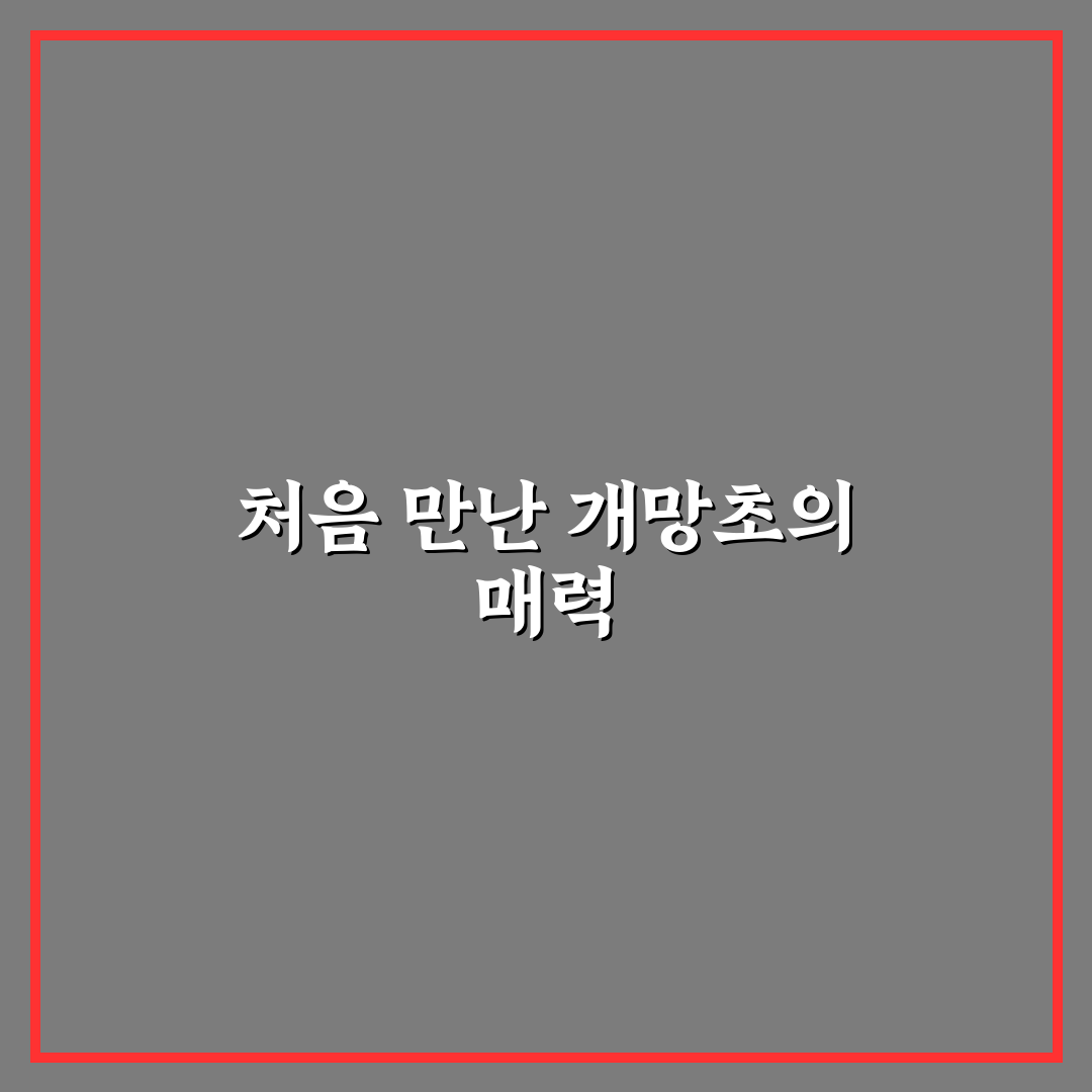 개망초 나물 부작용 직접 알아보니 주의할 점이 있었어요