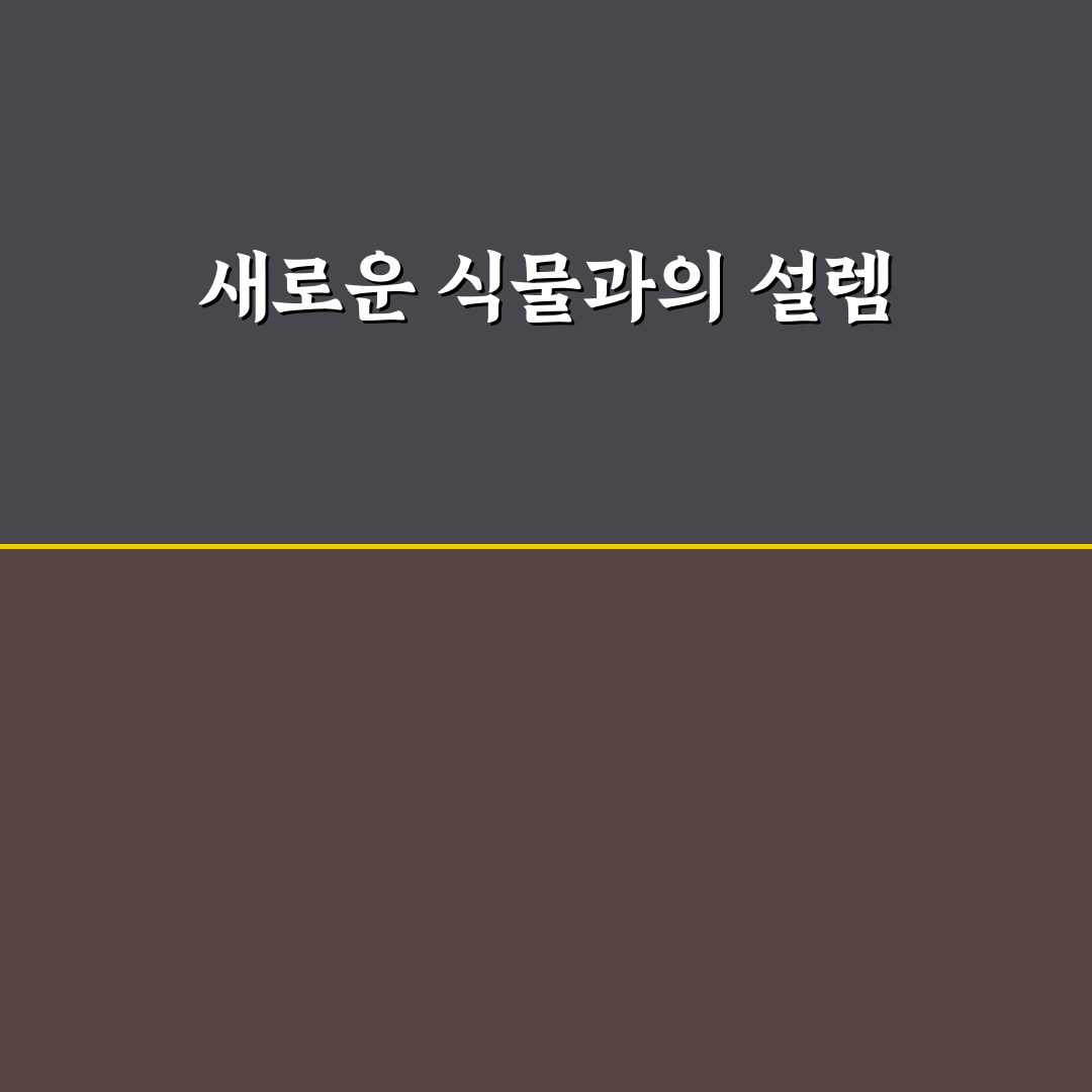분홍때죽나무 직접 써보니 관리와 생장 차이점