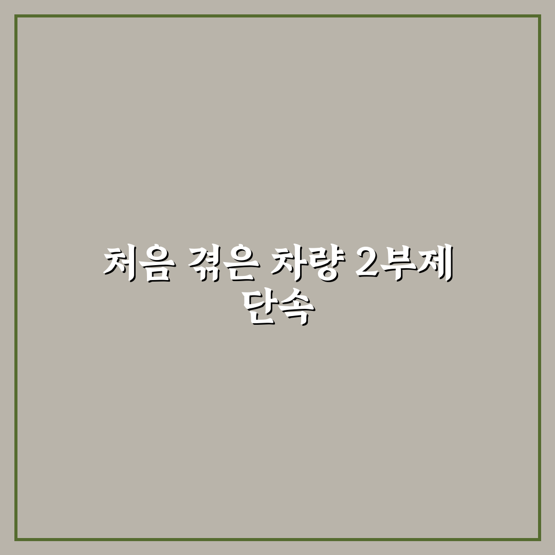 차량 2부제 단속 직접 알아보니 불편했던 점과 대처법