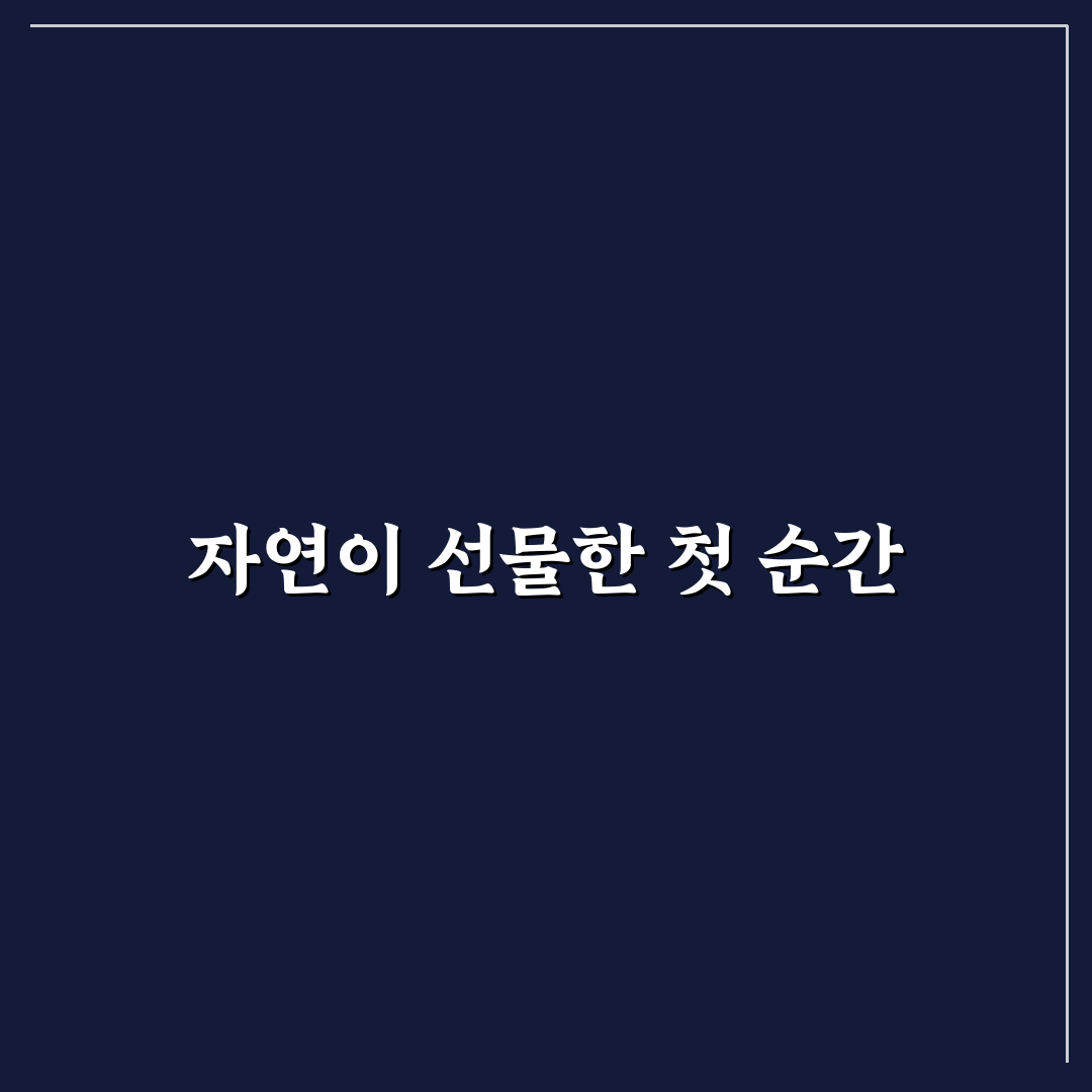 대둔산 더숲 방문 후기, 등산 코스와 휴식 공간 체험기