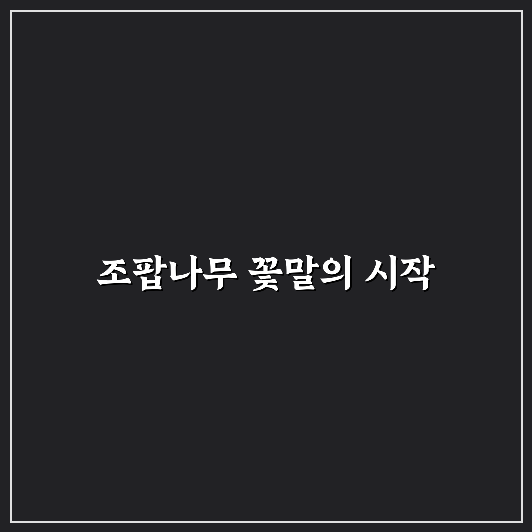 조팝나무 꽃말 직접 알아보니 뜻이 궁금했어요