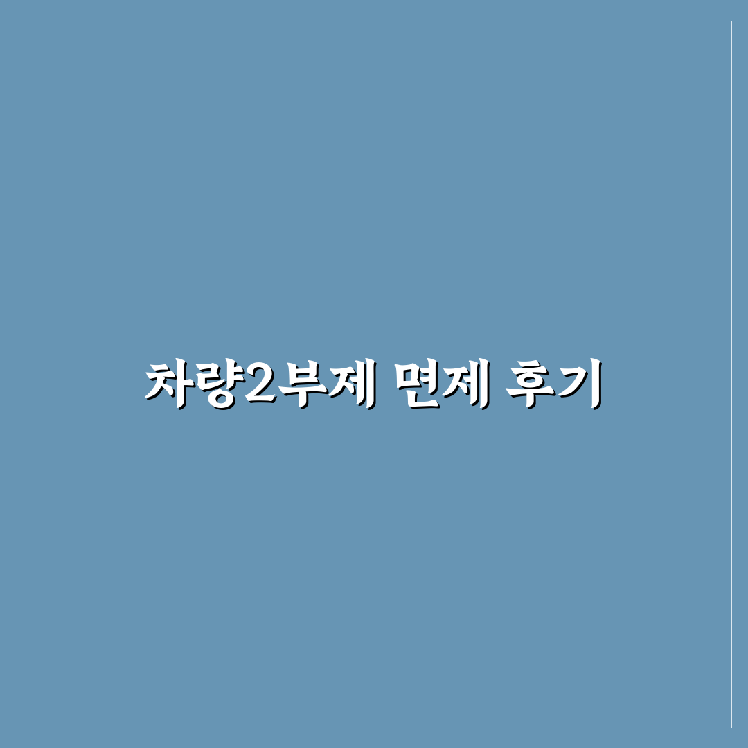 차량2부제 면제 직접 알아보니 실제 혜택과 조건은