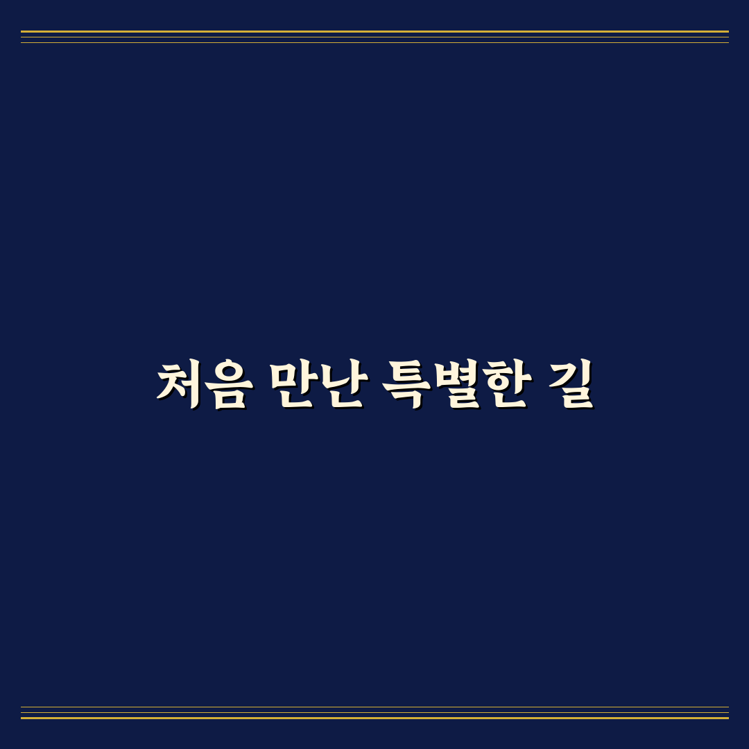 진천 이팝나무길 방문 후기, 직접 걸어보니 풍경은 어땠는지