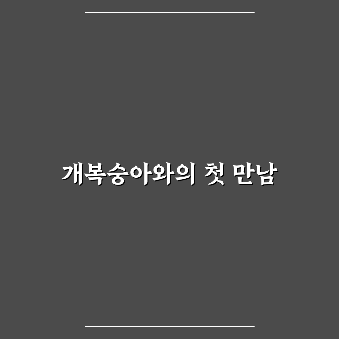 개복숭아수확시기 직접 알아보니 알맞은 시기 찾기