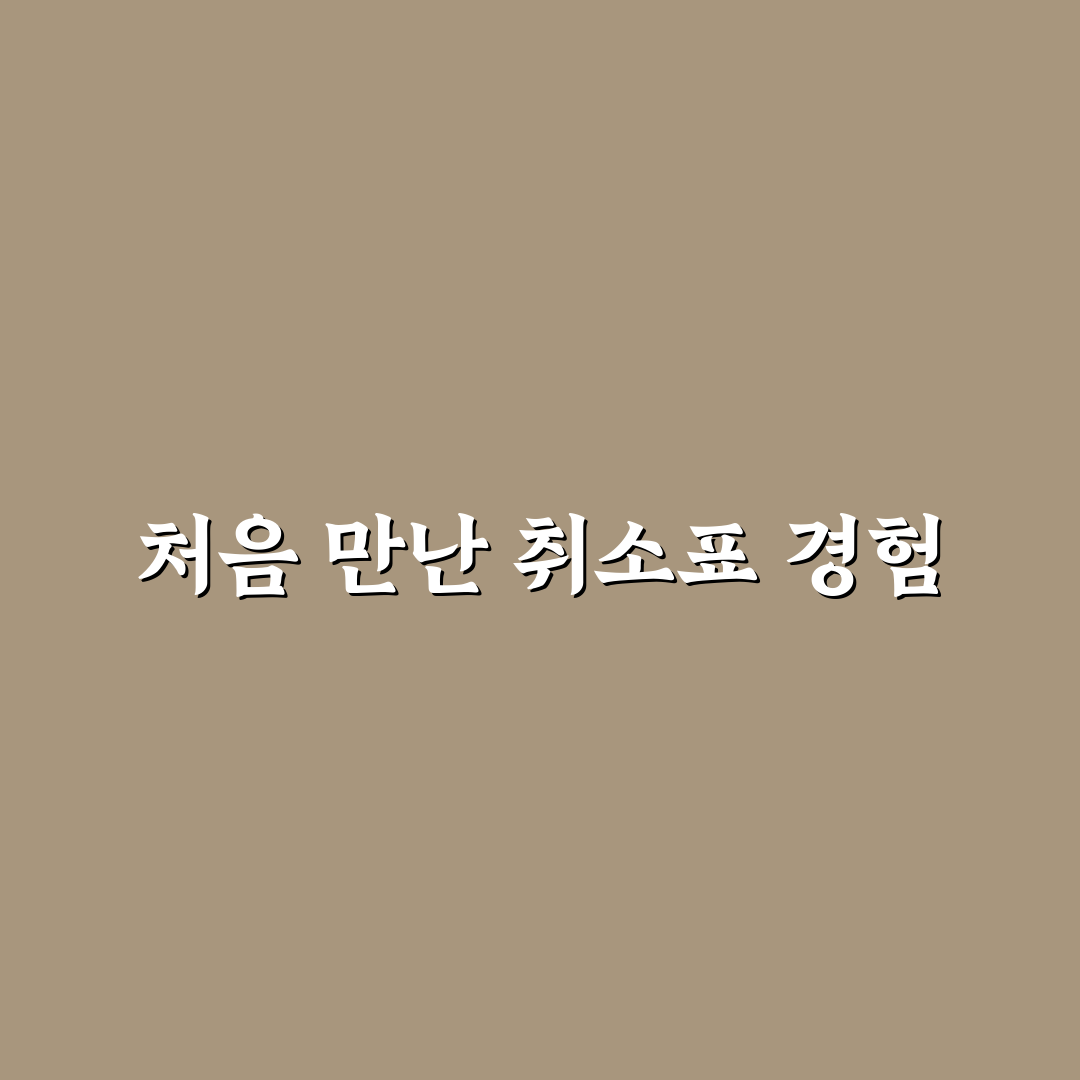 티머니고 취소표 이용해보니 불편한 점도 있었던 후기