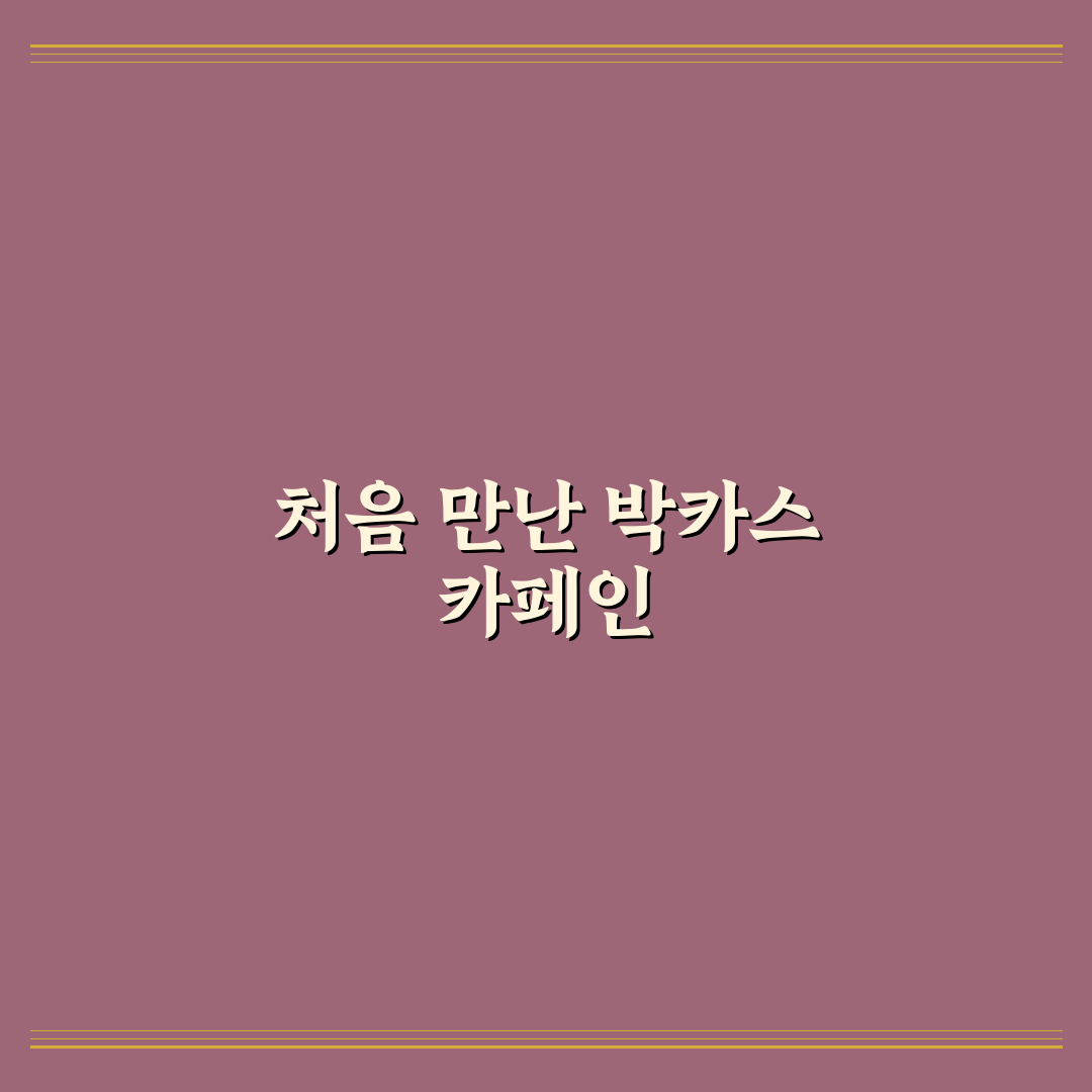 박카스 카페인 함량 직접 알아보니 궁금증 해결되었어요