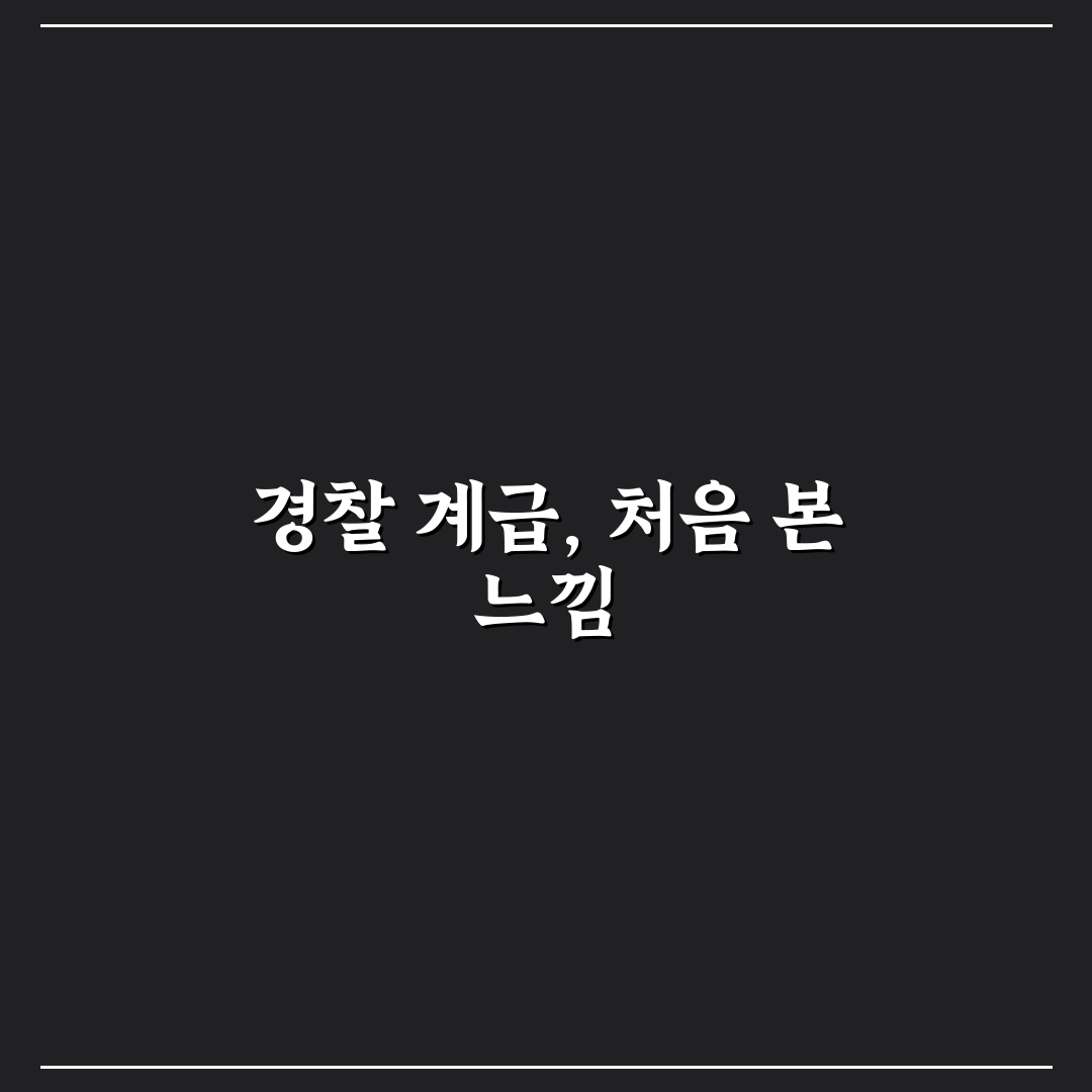 무궁화 3개 경찰 계급 직접 알아보니 헷갈리던 점