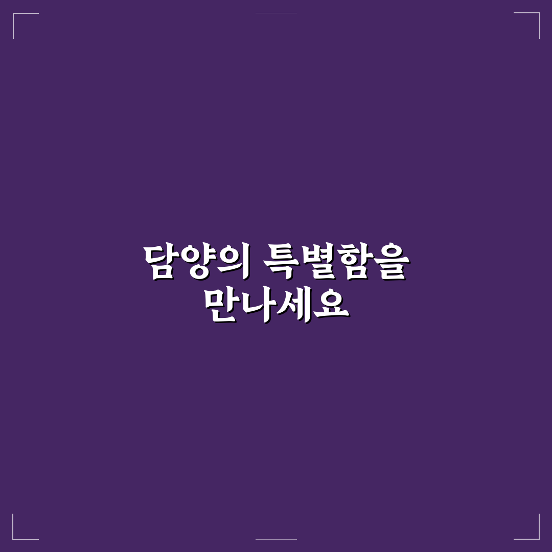담양 딜라이트 예매, 직접 해보니 편리했던 점과 아쉬움