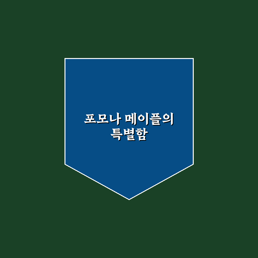 포모나 메이플시럽 사용법과 추천 꿀팁 정리