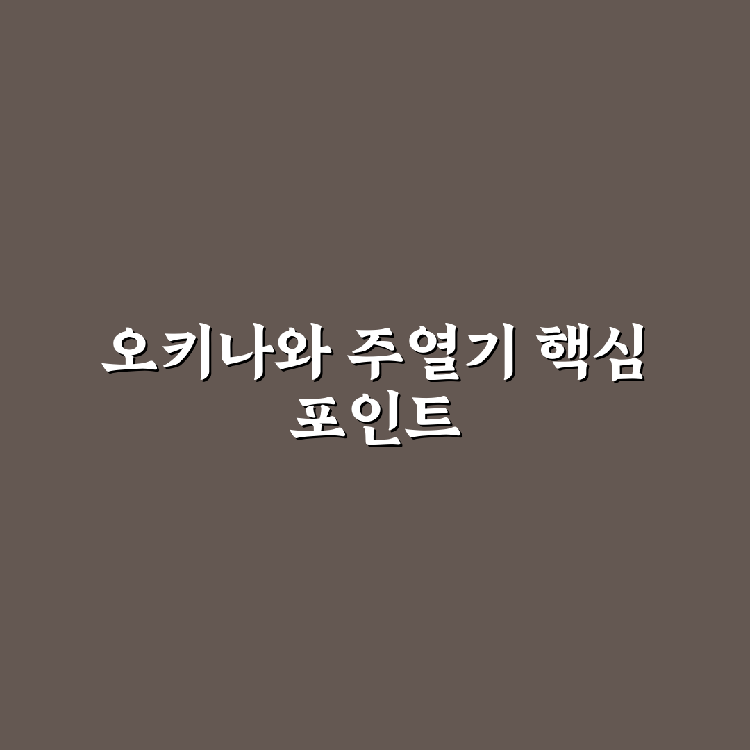 오키나와 주열기 선택 가이드와 성능 비교 분석