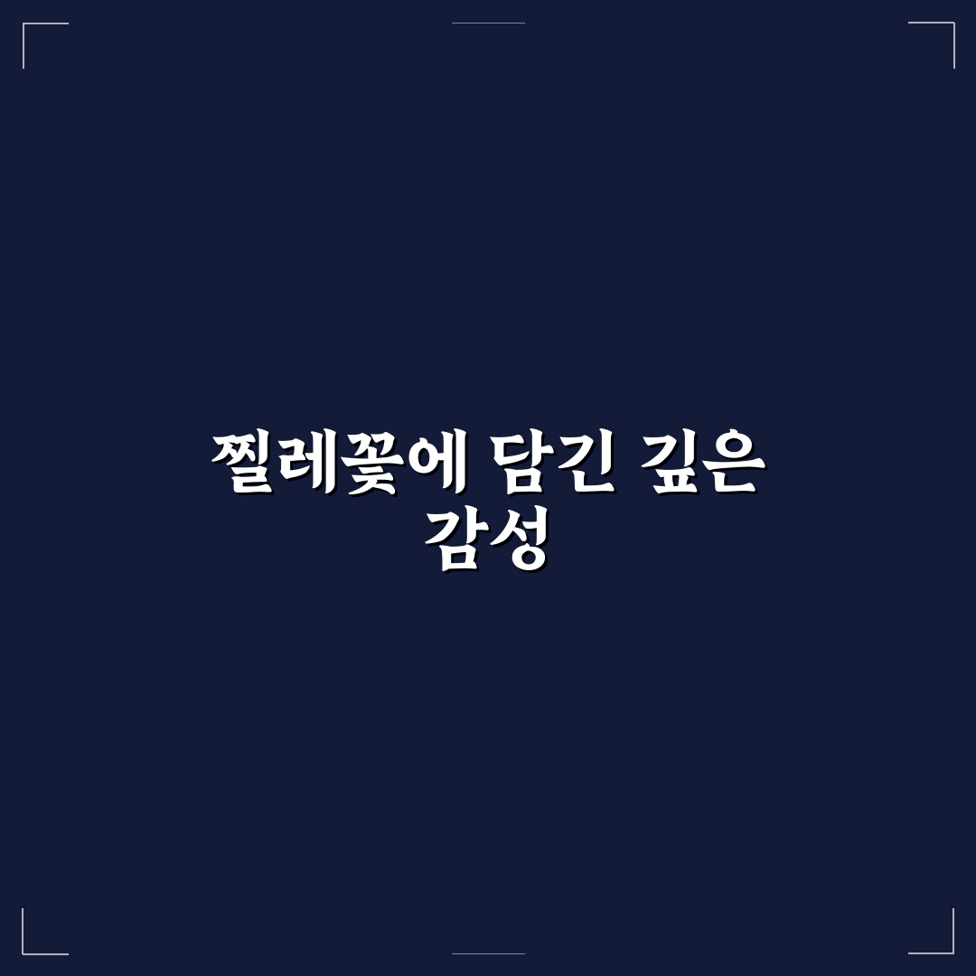 장사익 찔레꽃 가사 의미와 표현 방식 분석 가이드