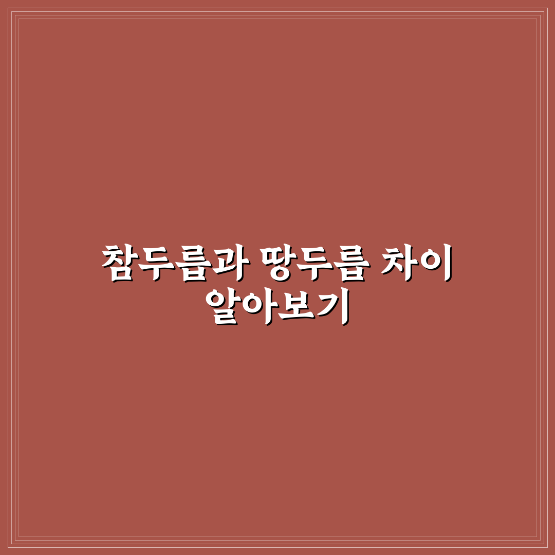 참두릅 땅두릅 차이와 특징 쉽게 정리해 드려요