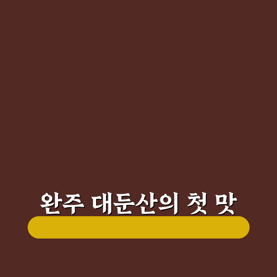 완주 대둔산 흑곶감 후기, 직접 먹어보니 맛은 어땠을까