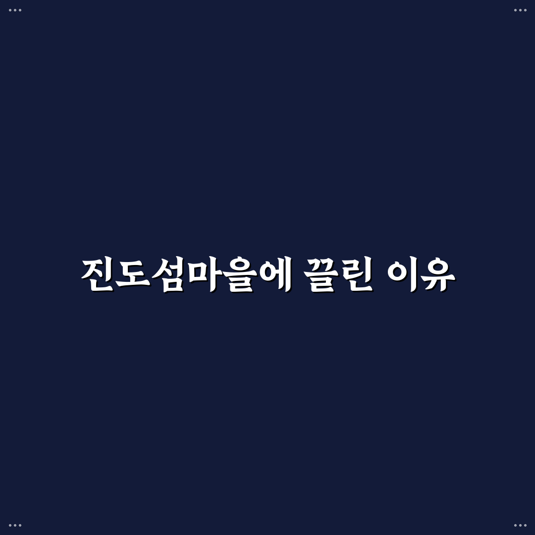 남광주시장 진도섬마을 방문 후기, 현장 상황 직접 보니