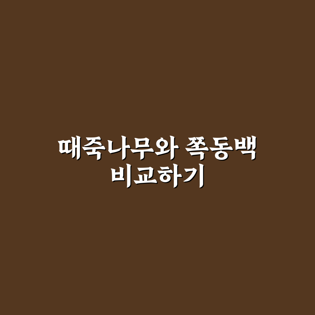 때죽나무 쪽동백 차이 쉽게 알려드려요 정리