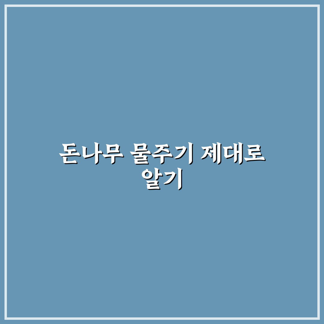 돈나무 물주기 간격과 관리 꿀팁 쉽게 알려드려요