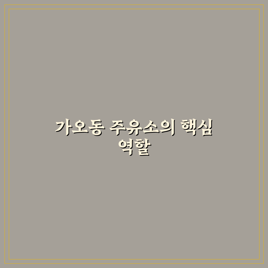 가오동 주유소 이용 꿀팁과 시설 정보 정리