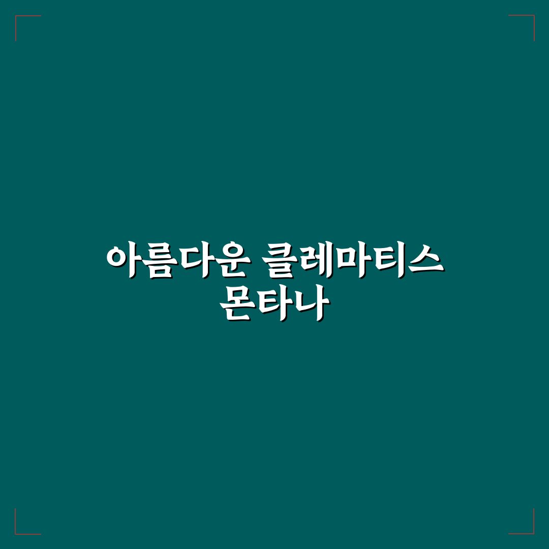 클레마티스 몬타나 키우기 꿀팁과 관리법 공유