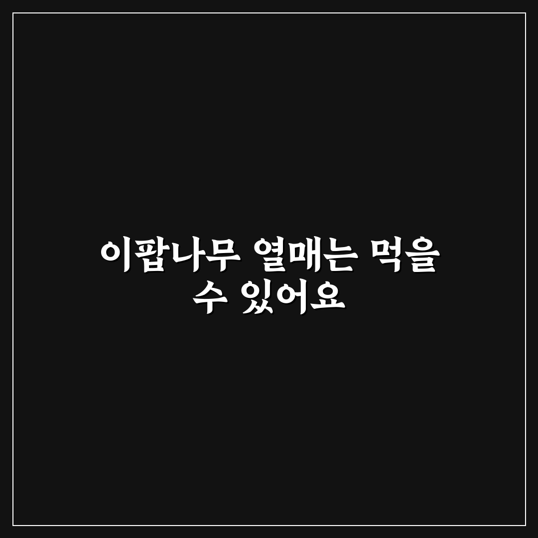 이팝나무 열매 식용 방법과 초보자 꿀팁 알려드려요