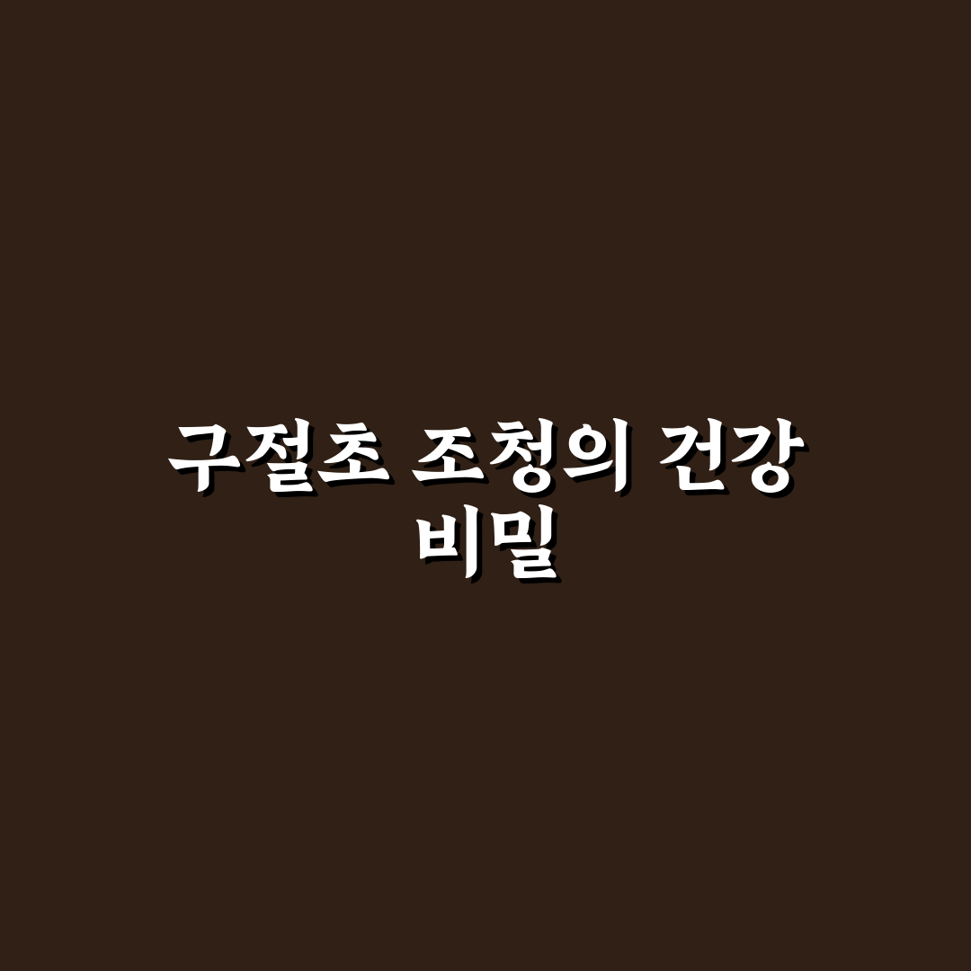 구절초 조청 효능과 활용법 꿀팁 알려드려요