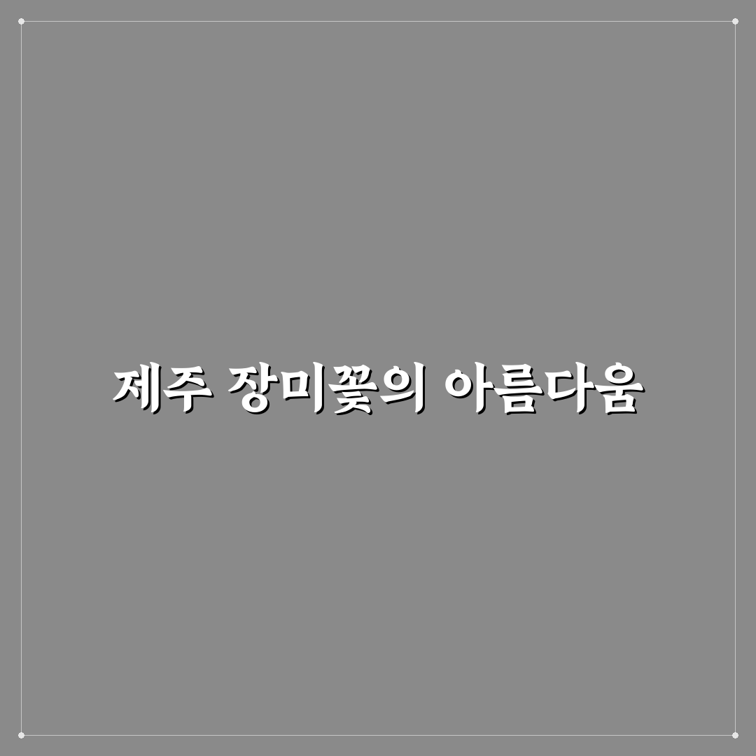 제주 장미꽃 명소 추천과 방문 꿀팁 정리