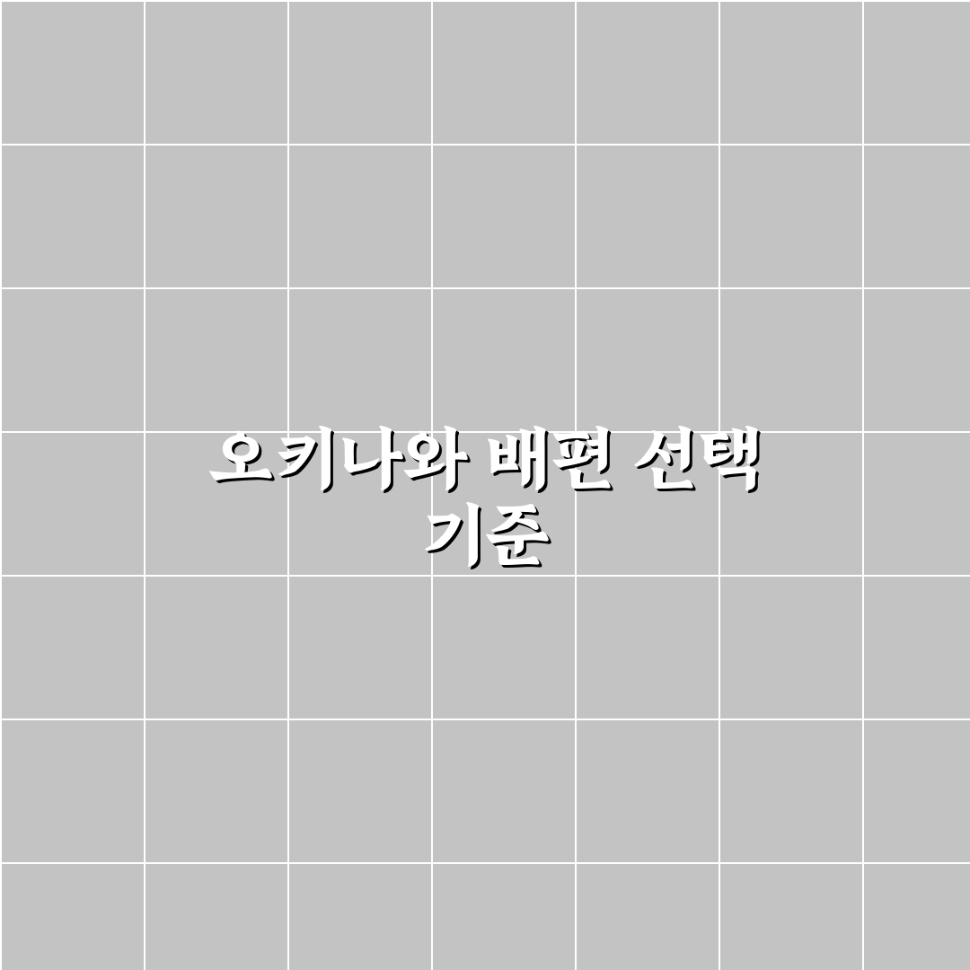 오키나와 배편 비교와 선택 기준 총정리 5가지