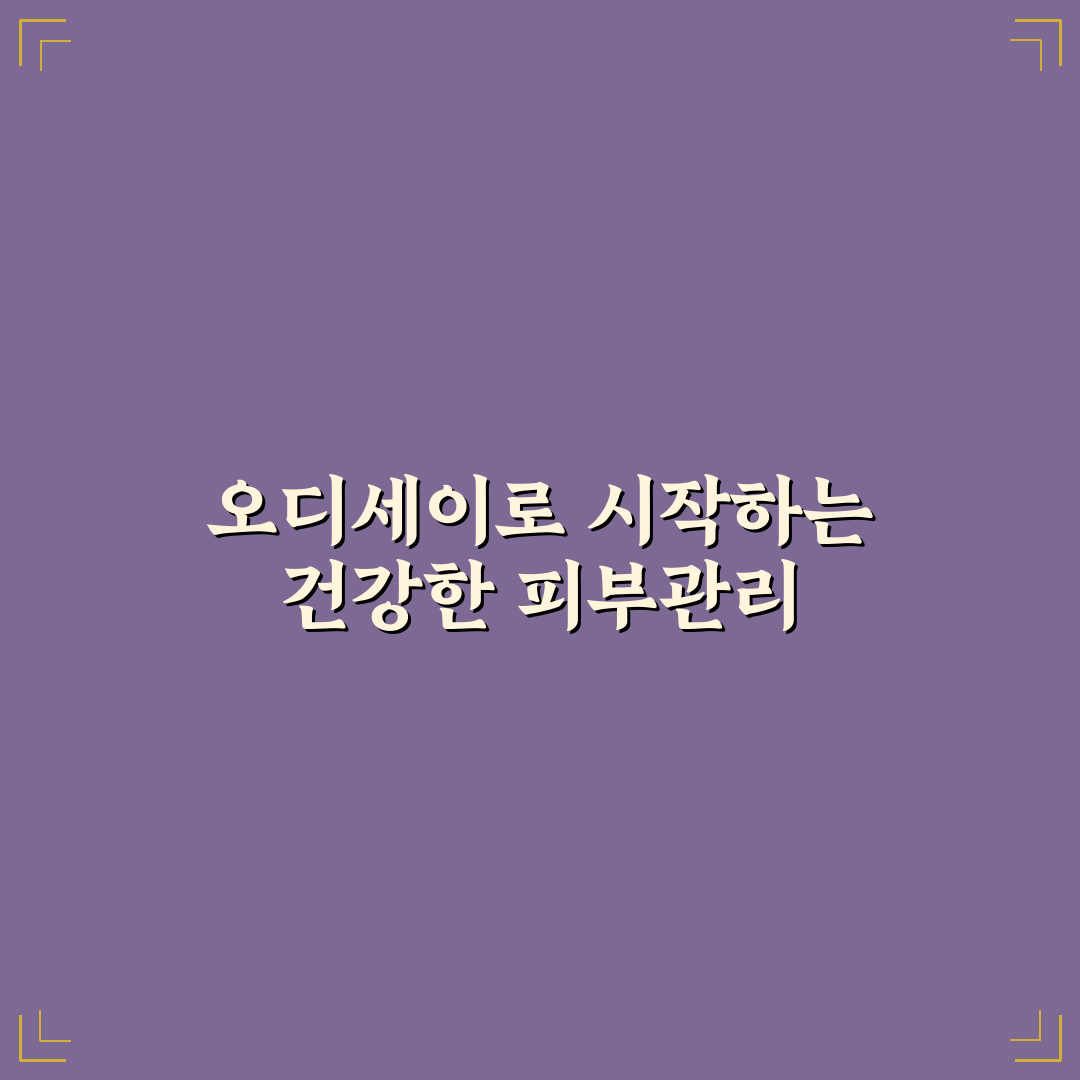 오디세이 로션 세트 사용법과 추천 꿀팁 정리